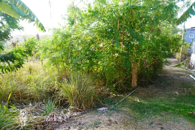 Calliste Lot — listing photograph in Calliste